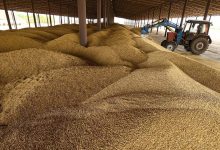 Фото - Глава Минсельхоза заявил о готовности РФ поставить беднейшим странам до 500 тыс. т зерна
