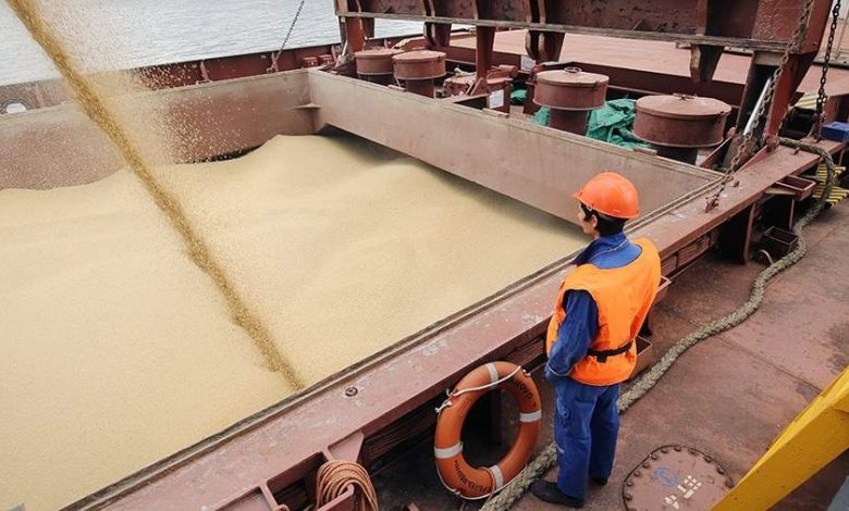 Фото - Эксперт оценила увеличение квоты на экспорт из России зерна до 25,5 млн т